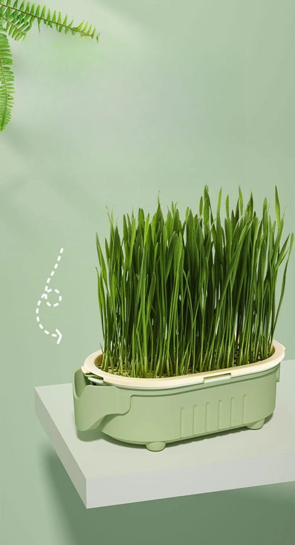 Soilless Hydroponic Growing Cup