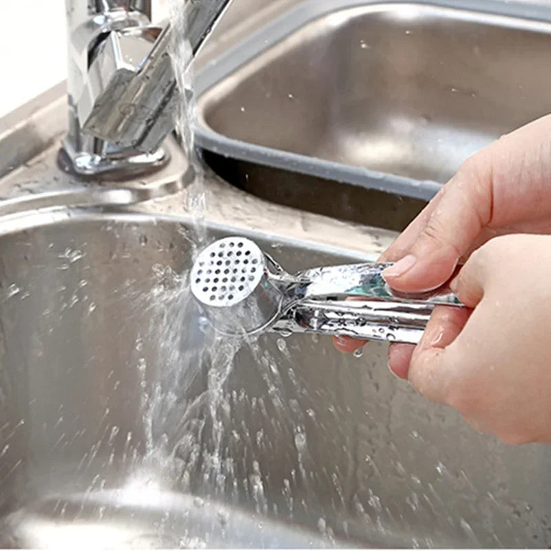 Stainless Steel Garlic Press & Mincer