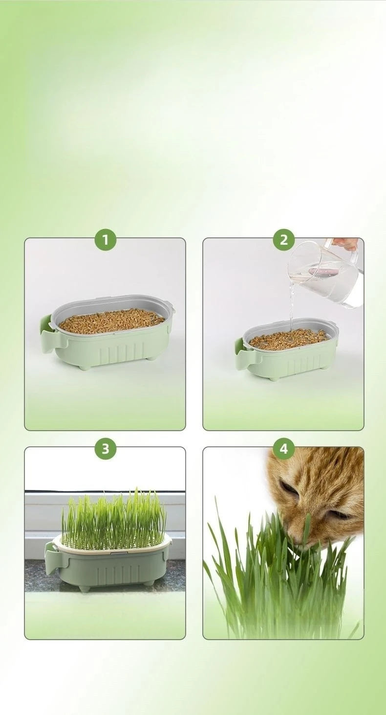 Soilless Hydroponic Growing Cup