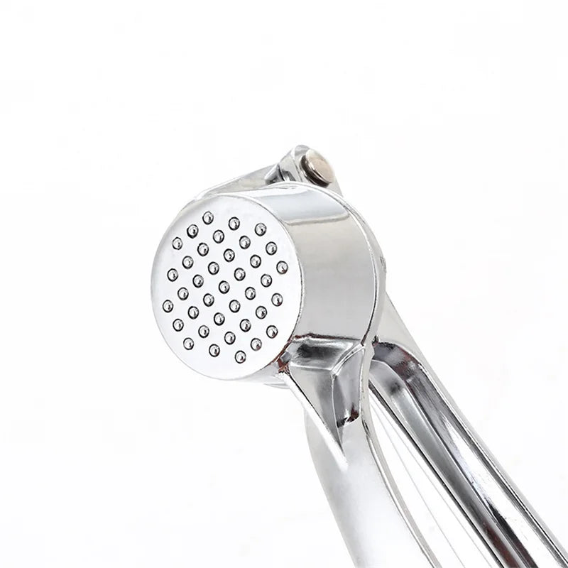 Stainless Steel Garlic Press & Mincer