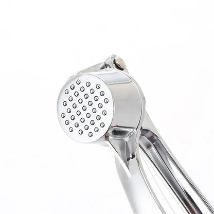 Stainless Steel Garlic Press & Mincer