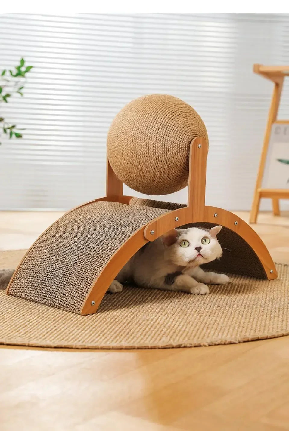2-in-1 Wooden Cat Scratcher & Ball